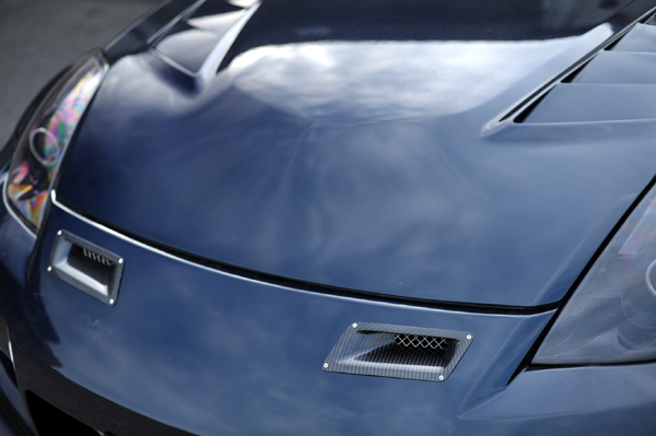 100607 z33 2 DSC_9816.jpg